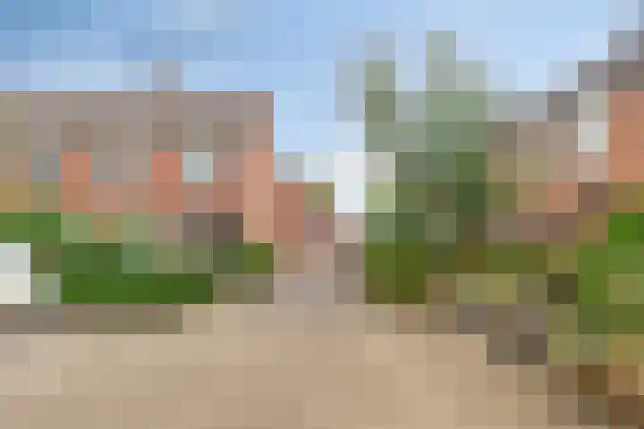 Olmenpad 8 Made thumbnail 37