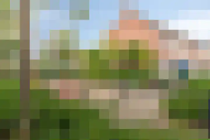Olmenpad 8 Made thumbnail 38