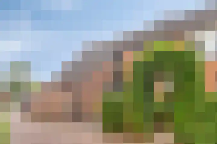 Olmenpad 8 Made thumbnail 4