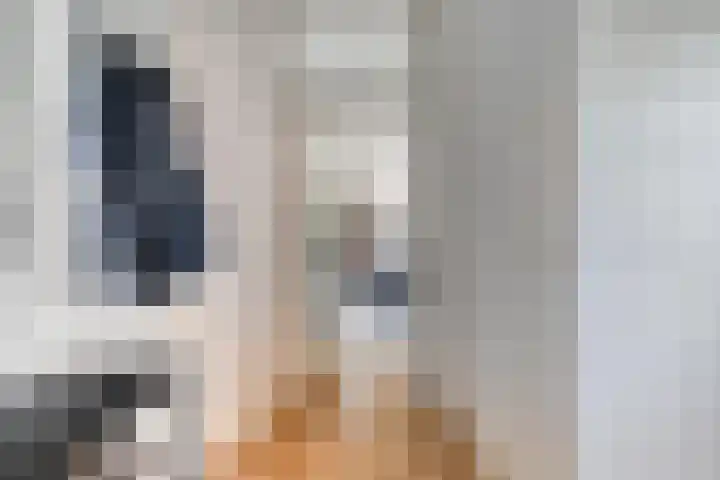 Olmenpad 8 Made thumbnail 5