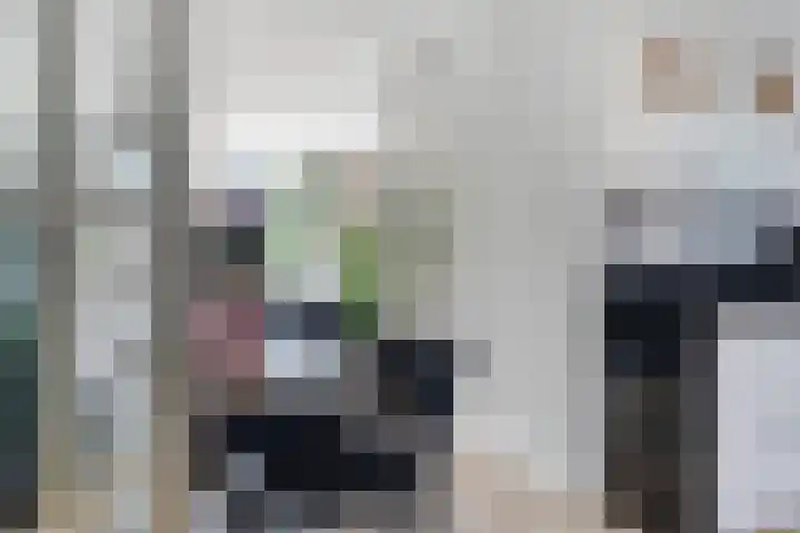 Olmenpad 8 Made thumbnail 6