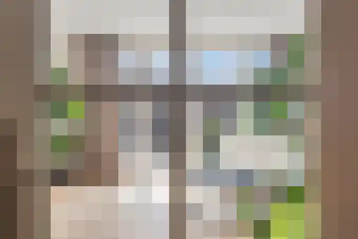 Olmenpad 8 Made thumbnail 8