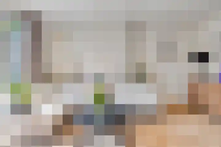 Olmenpad 8 Made thumbnail 9