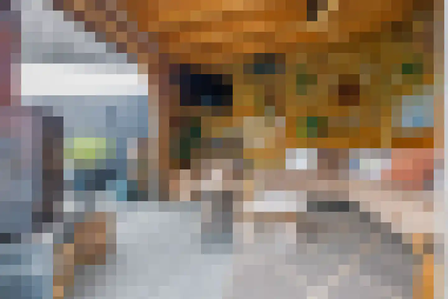 Olmenplein 8 Kerkrade thumbnail 38