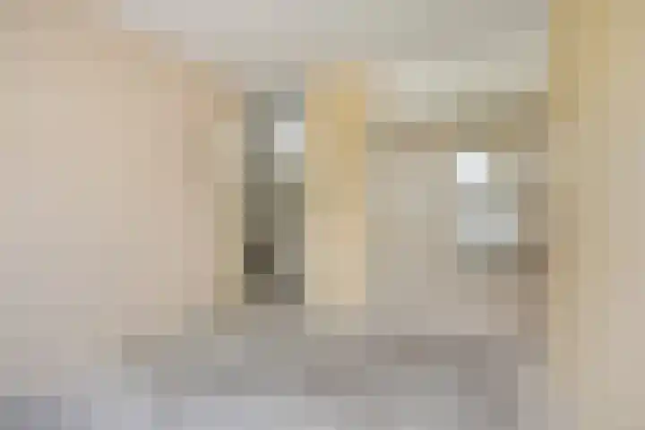 Olmenrode 24 Leiden thumbnail 22