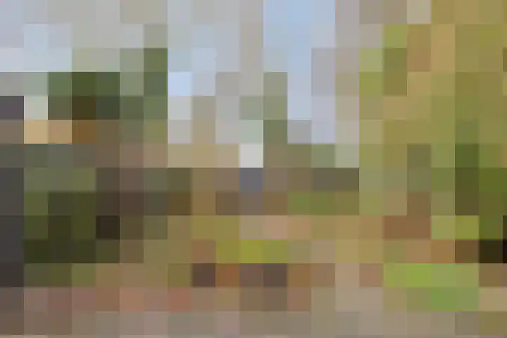Olmenrode 24 Leiden thumbnail 31