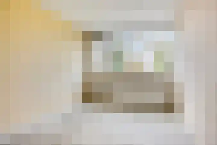 Olmenrode 24 Leiden thumbnail 5