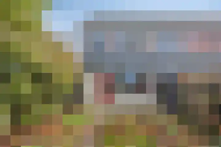 Olmenrode 24 Leiden thumbnail 6