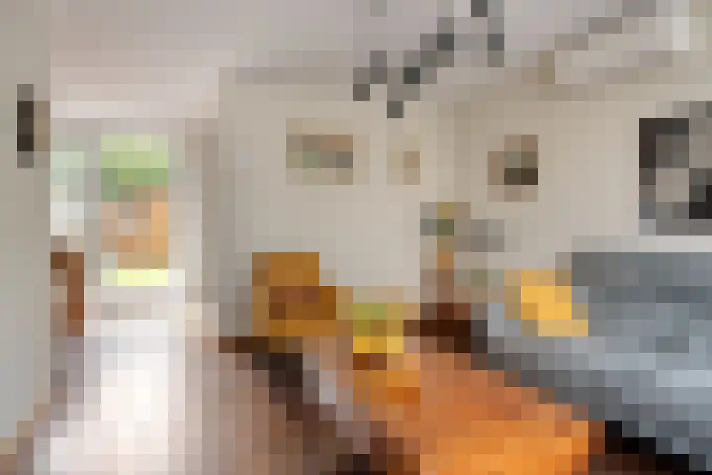 Olmenstraat 1 Goes thumbnail 10