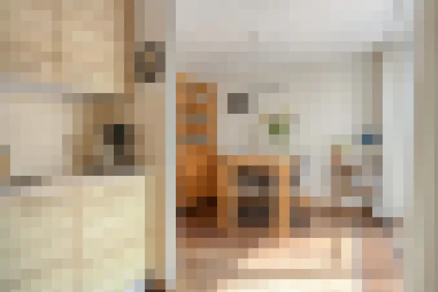 Olmenstraat 1 Goes thumbnail 14