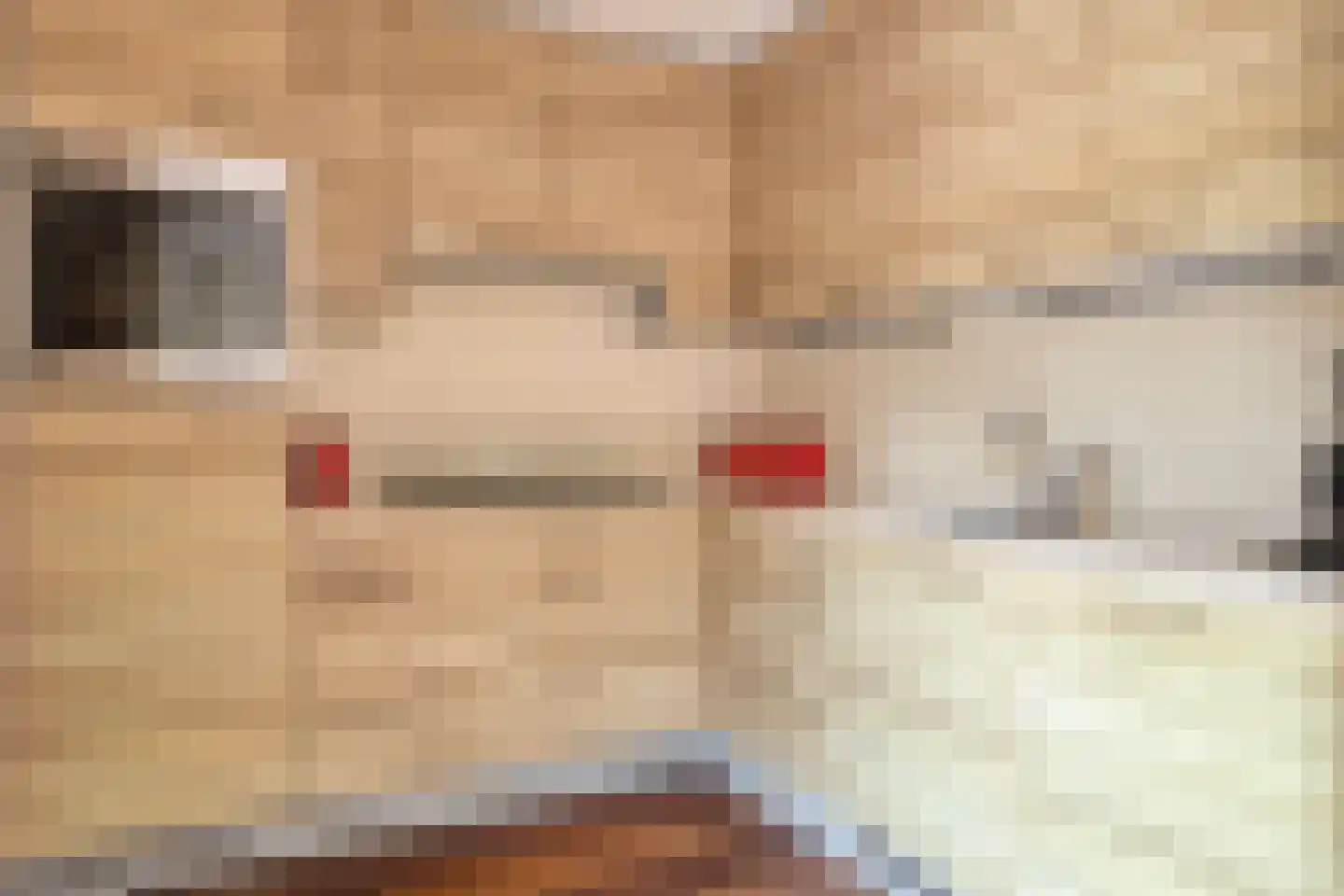 Olmenstraat 1 Goes thumbnail 16