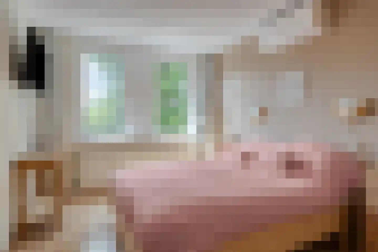 Olmenstraat 1 Goes thumbnail 19