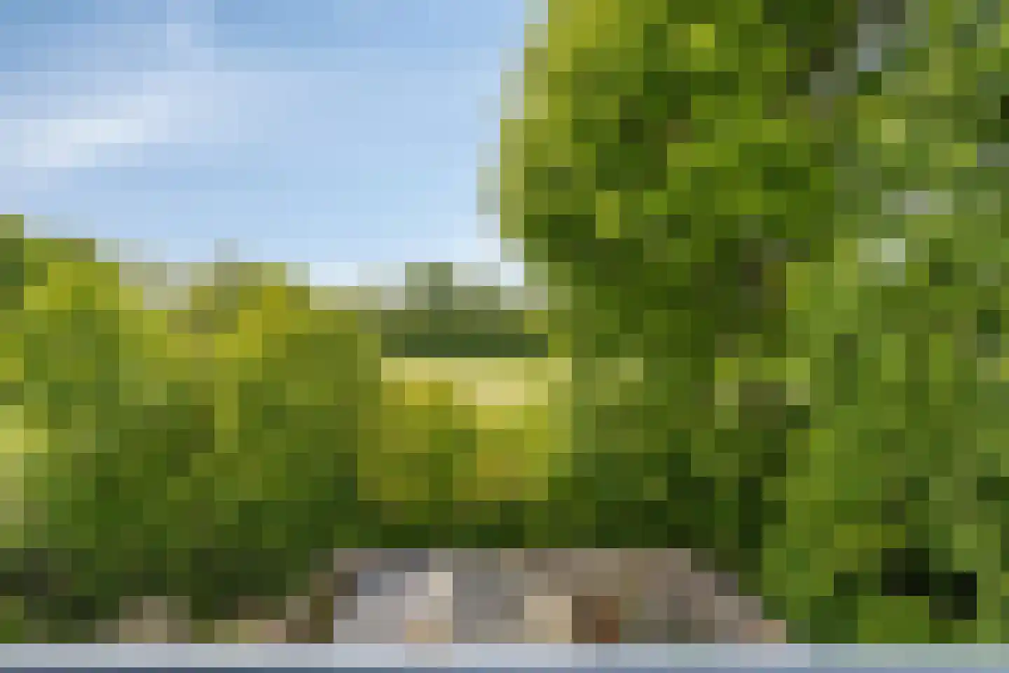 Olmenstraat 1 Goes thumbnail 35