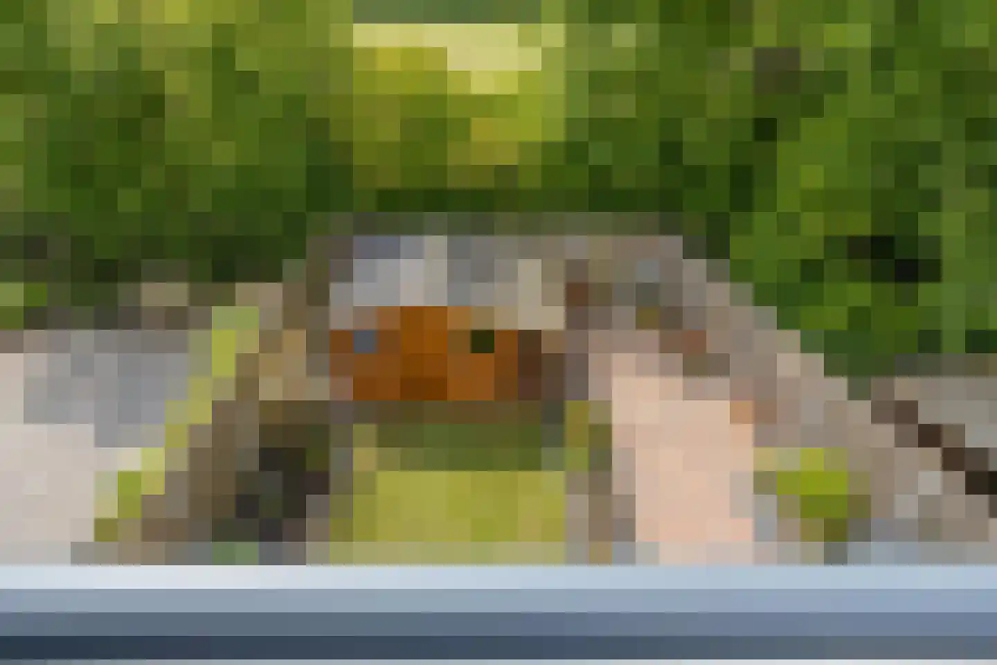 Olmenstraat 1 Goes thumbnail 36
