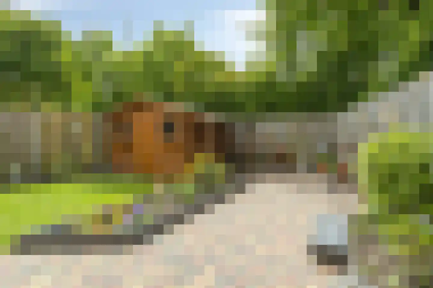 Olmenstraat 1 Goes thumbnail 42