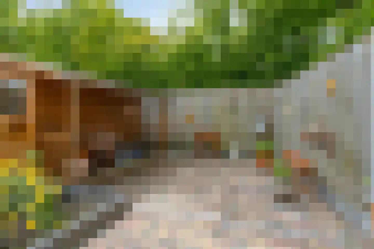 Olmenstraat 1 Goes thumbnail 43