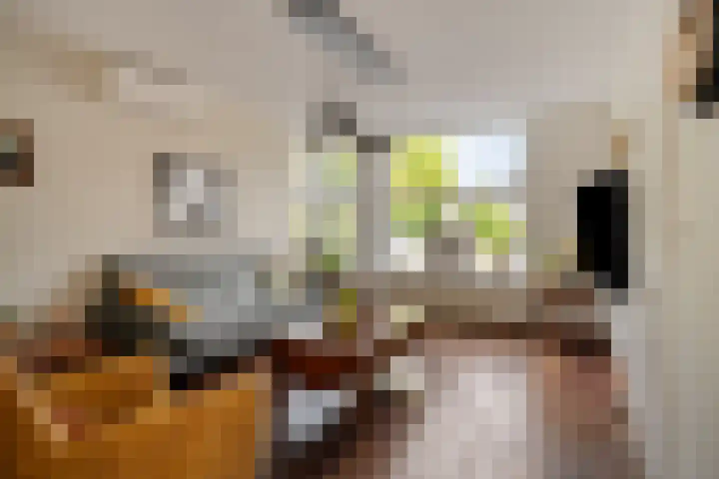 Olmenstraat 1 Goes thumbnail 7