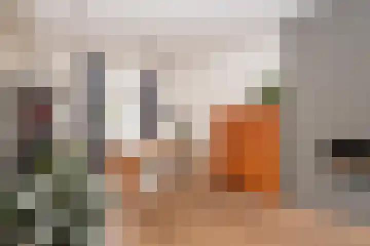 Olmenstraat 10 Tilburg thumbnail 10