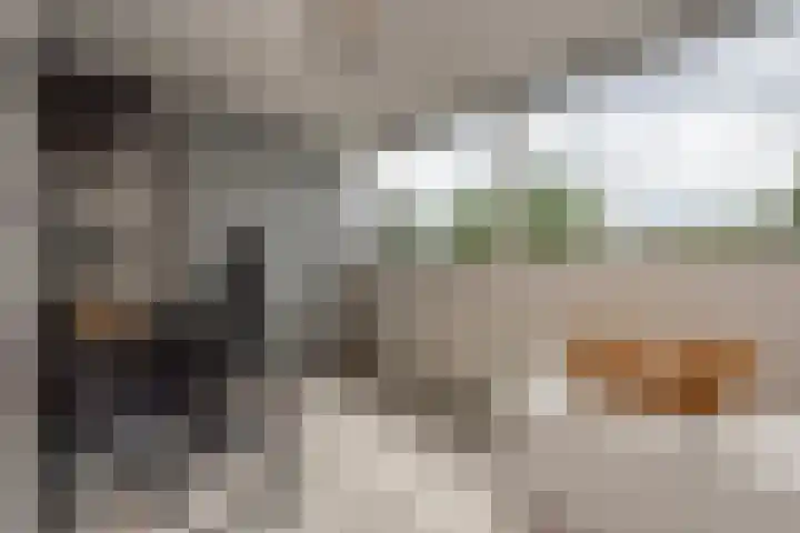 Olmenstraat 10 Tilburg thumbnail 32
