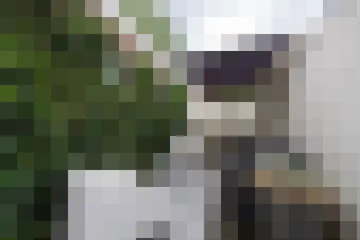 Olmenstraat 10 Tilburg thumbnail 36