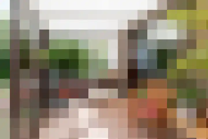Olmenstraat 15 Vianen thumbnail 13