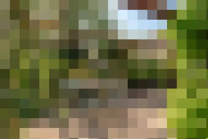 Olmenstraat 15 Vianen thumbnail 23