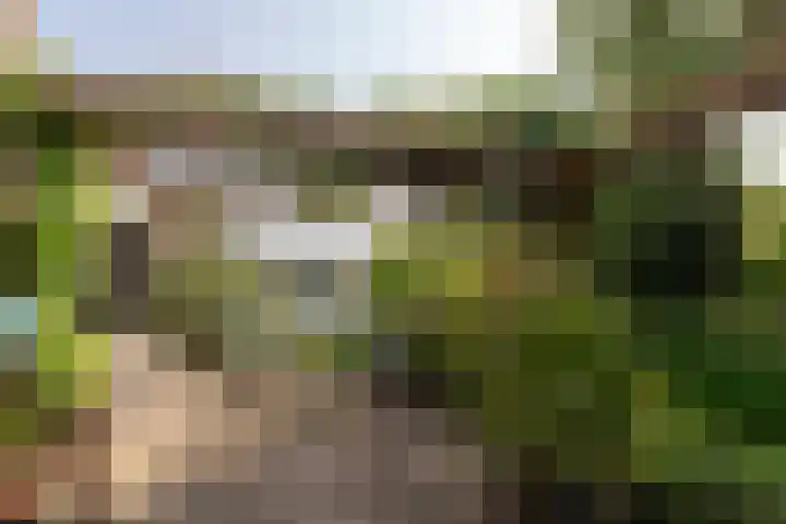 Olmenstraat 15 Vianen thumbnail 24
