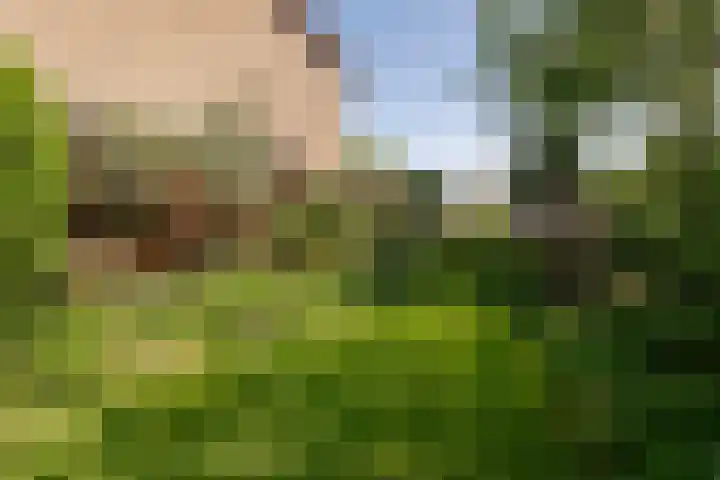 Olmenstraat 15 Vianen thumbnail 27
