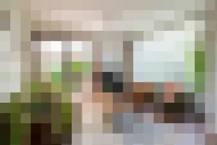 Olmenstraat 15 Vianen thumbnail 4