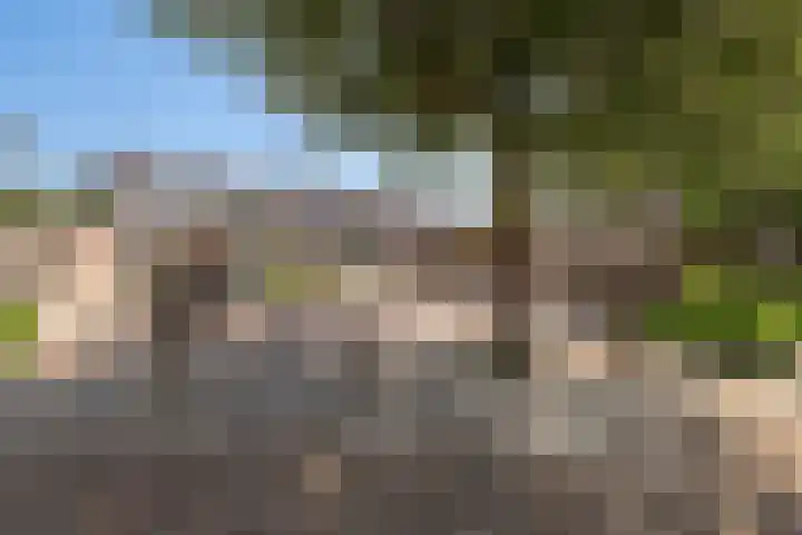 Olmenstraat 15 Vianen thumbnail 42