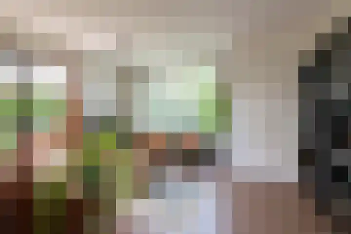 Olmenstraat 15 Vianen thumbnail 9
