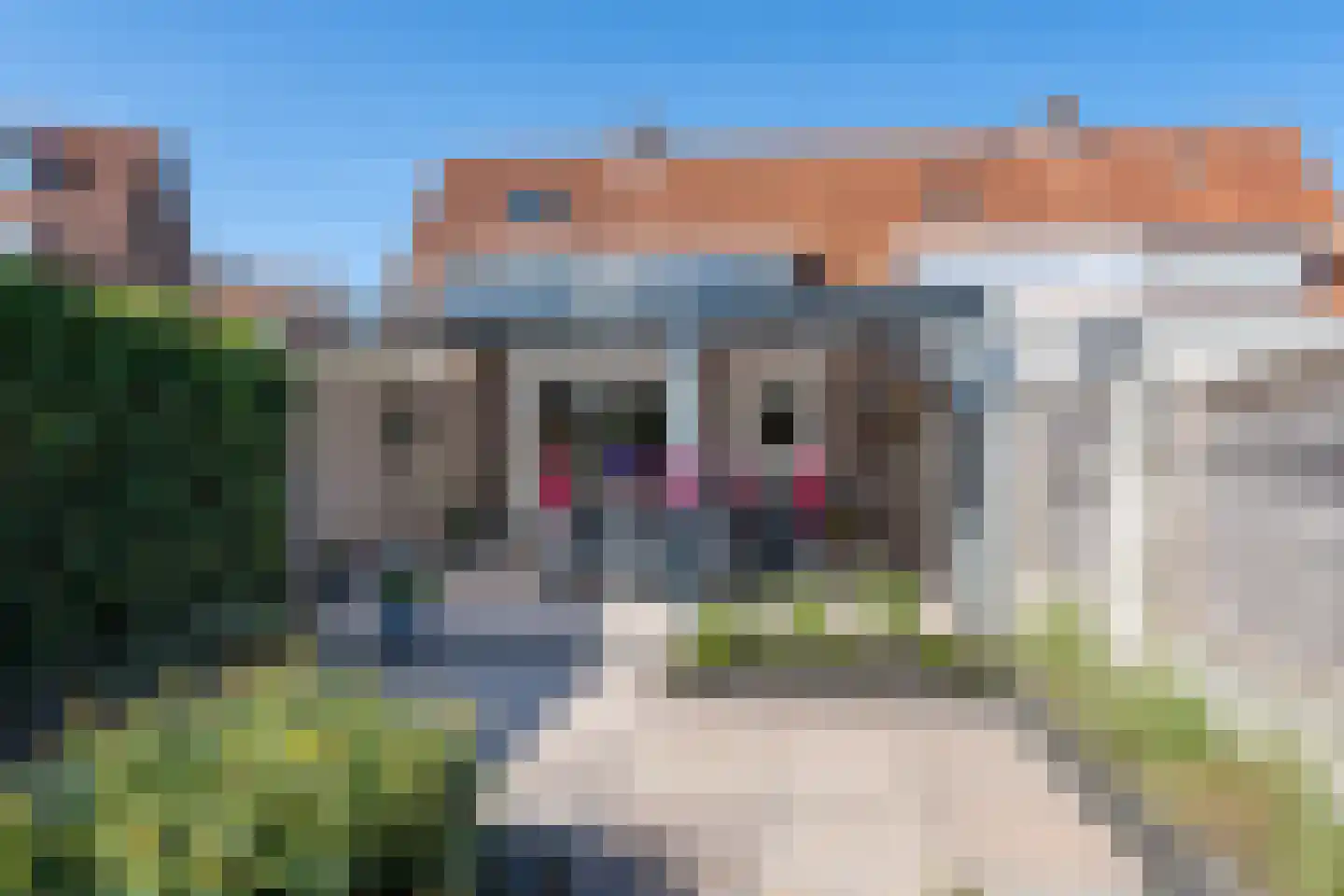 Olmenstraat 17 Landgraaf thumbnail 24