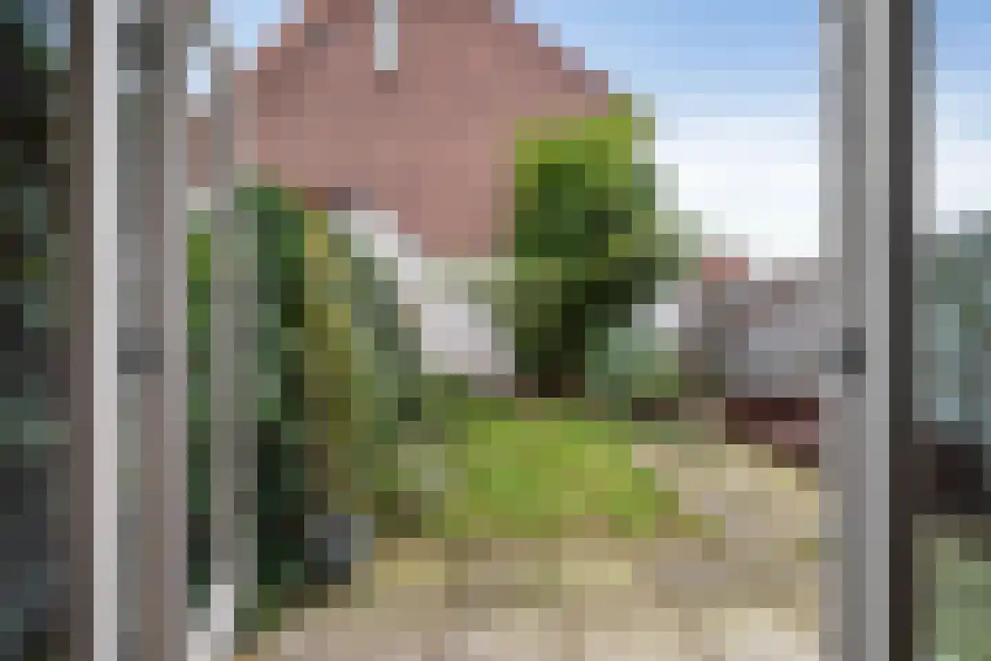 Olmenstraat 19 Haarlem thumbnail 18