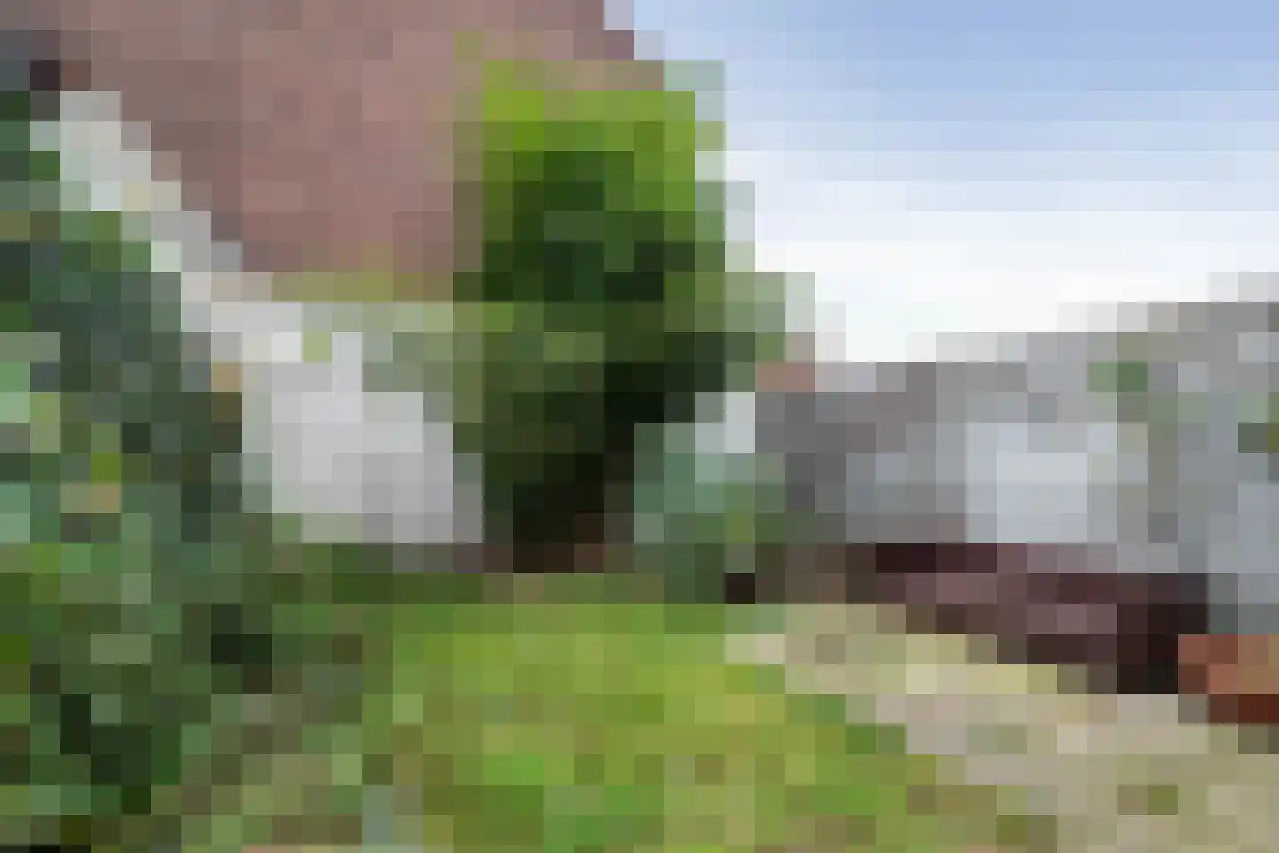 Olmenstraat 19 Haarlem thumbnail 20