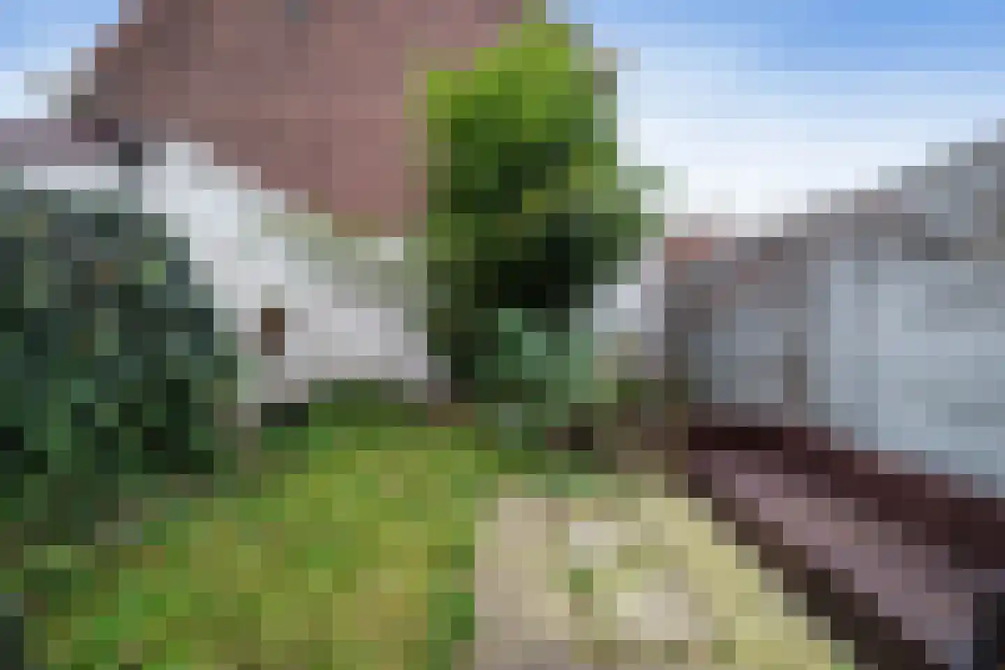 Olmenstraat 19 Haarlem thumbnail 21