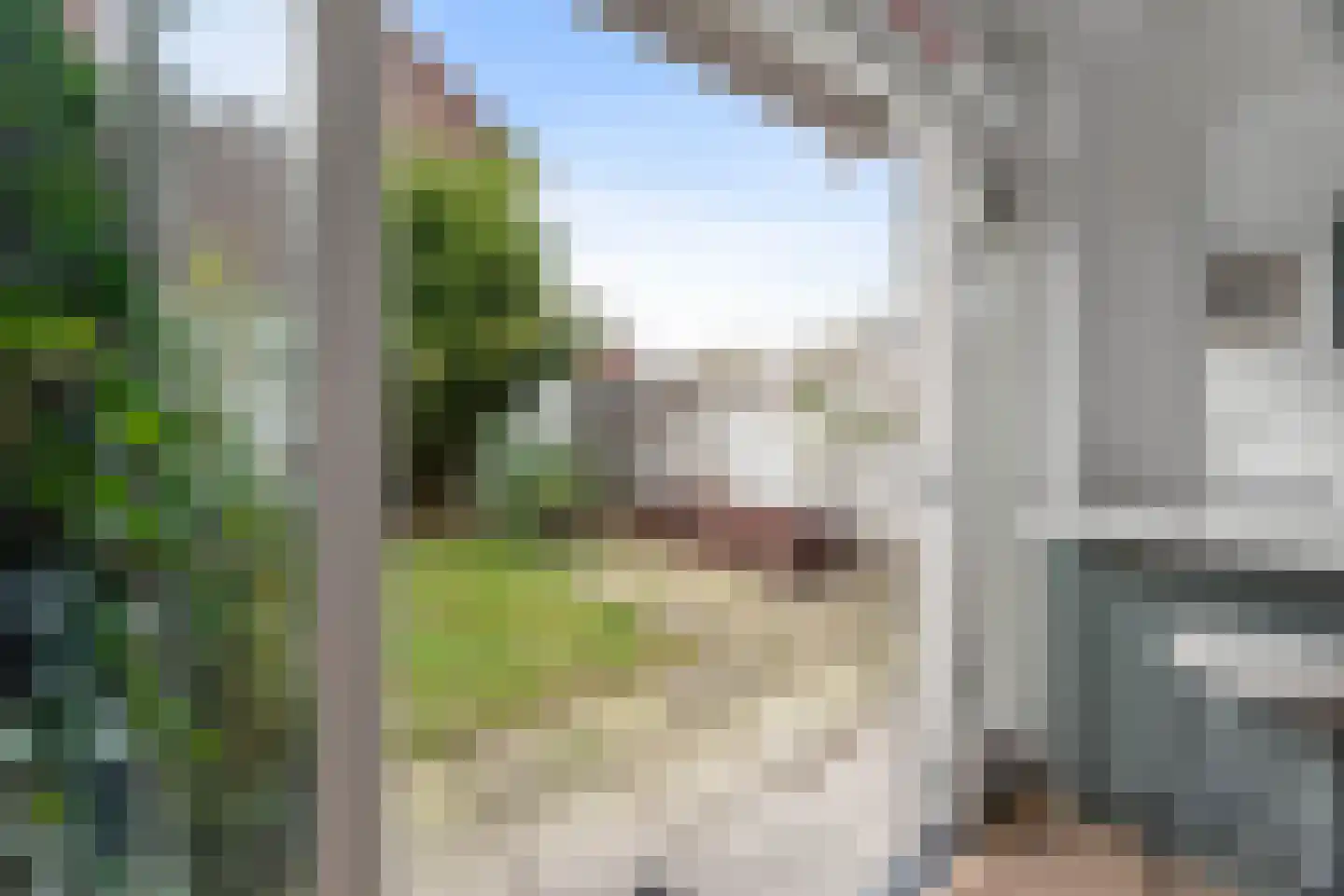 Olmenstraat 19 Haarlem thumbnail 22