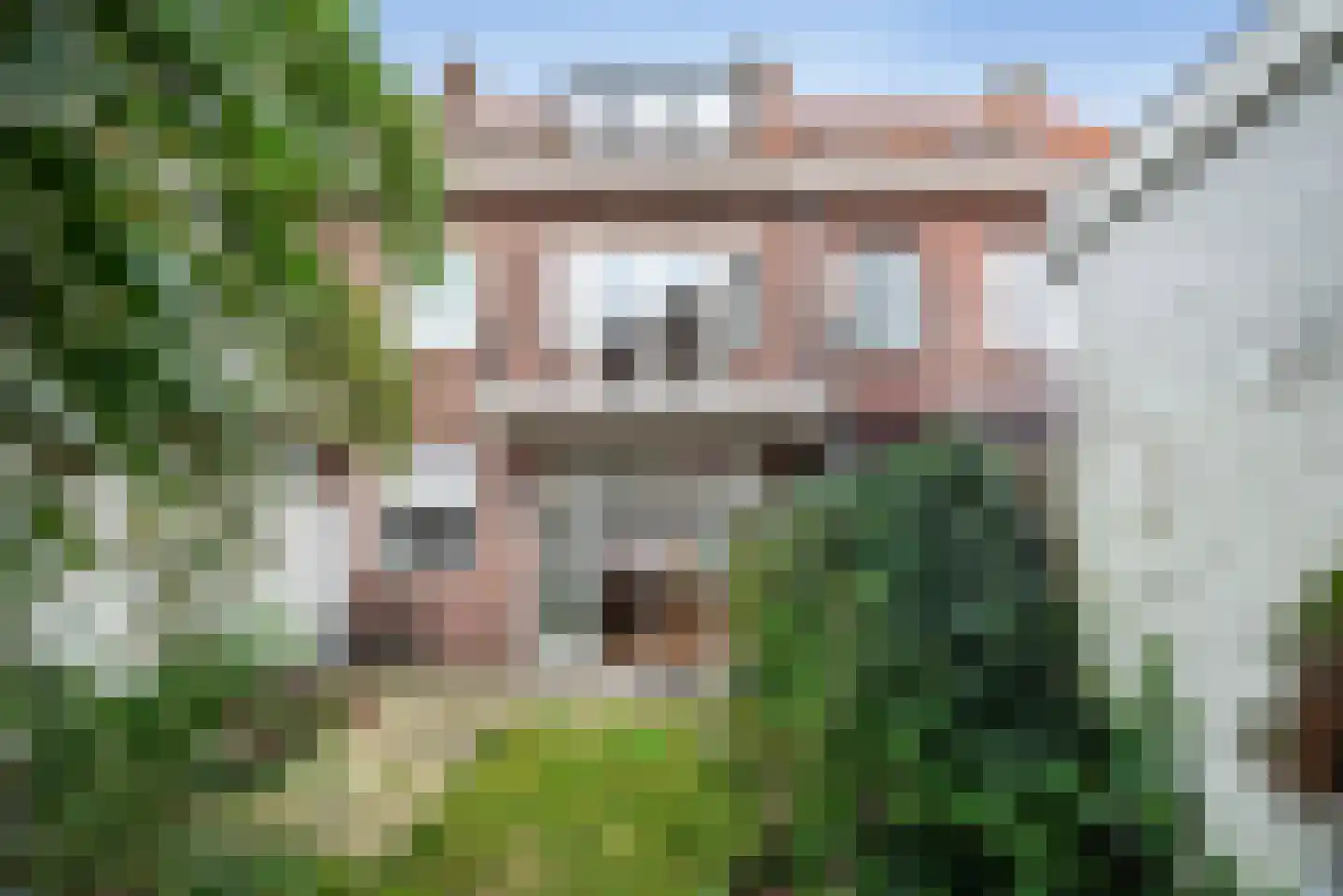 Olmenstraat 19 Haarlem thumbnail 23