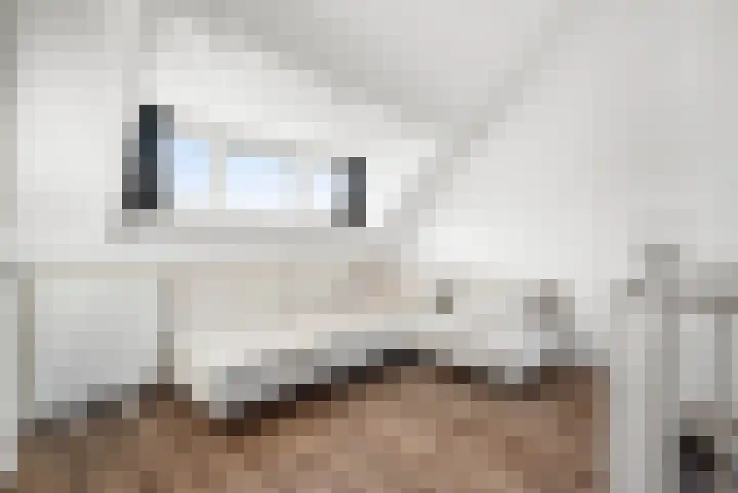 Olmenstraat 19 Haarlem thumbnail 37