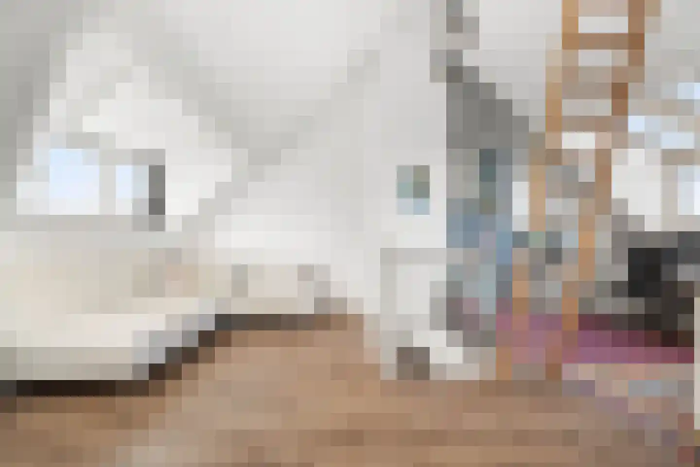 Olmenstraat 19 Haarlem thumbnail 39