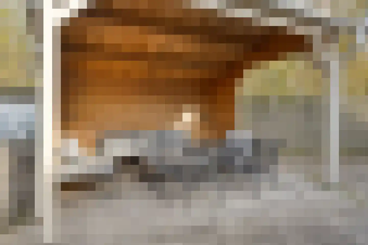 Olmenstraat 19 Vogelwaarde thumbnail 39