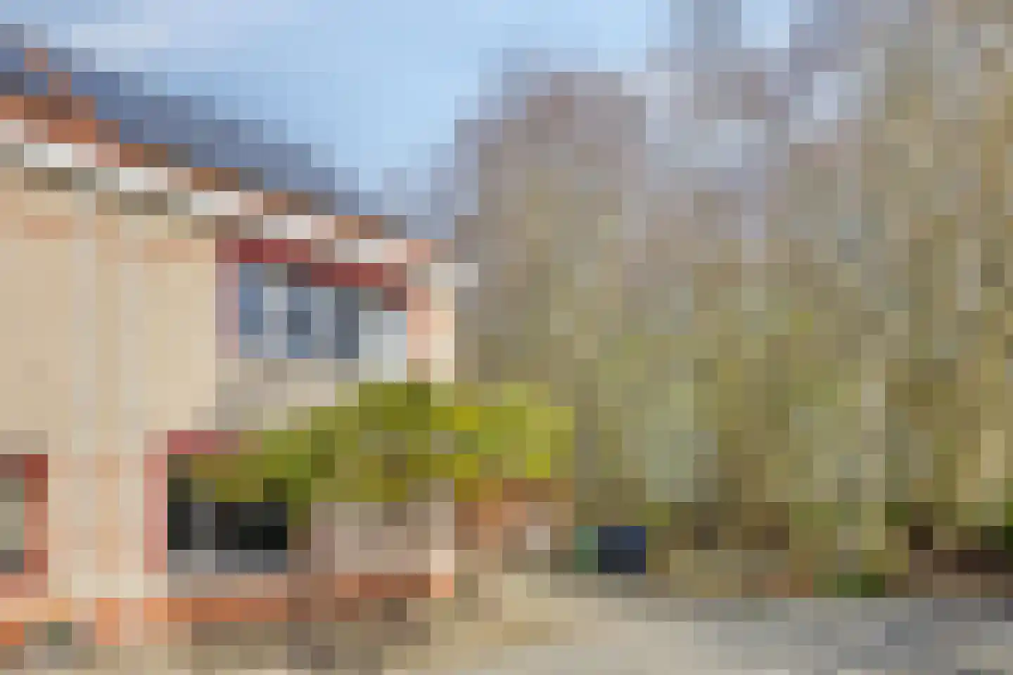 Olmenstraat 19 Vogelwaarde thumbnail 43