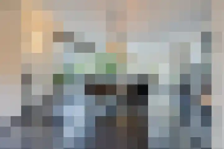 Olmenstraat 2 Halsteren thumbnail 11