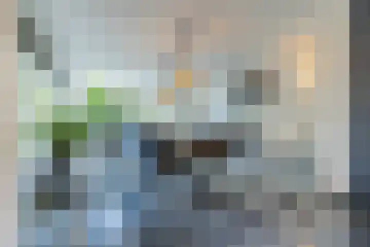 Olmenstraat 2 Halsteren thumbnail 12