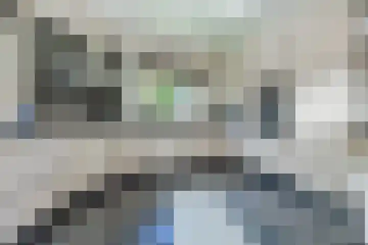 Olmenstraat 2 Halsteren thumbnail 16