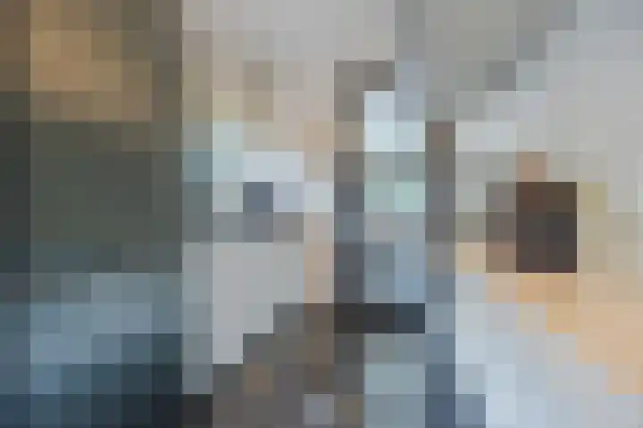 Olmenstraat 2 Halsteren thumbnail 19