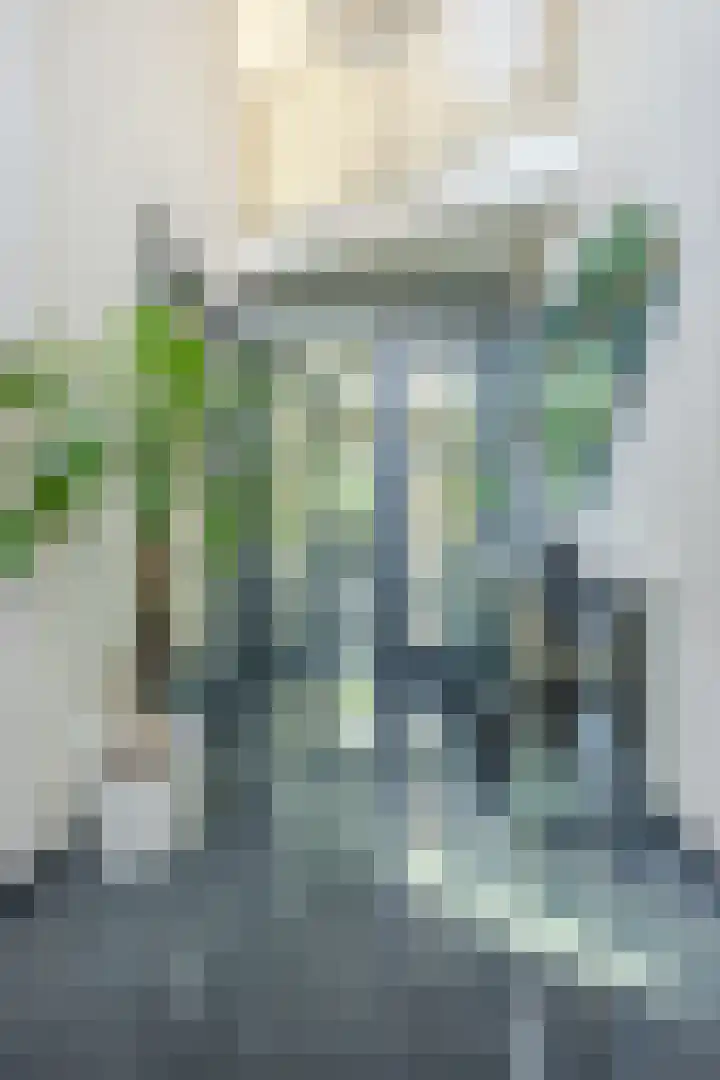 Olmenstraat 2 Halsteren thumbnail 20