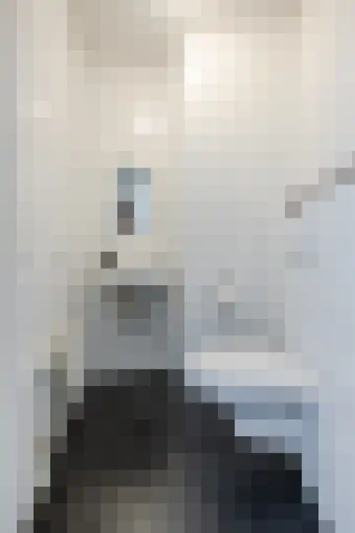 Olmenstraat 2 Halsteren thumbnail 21