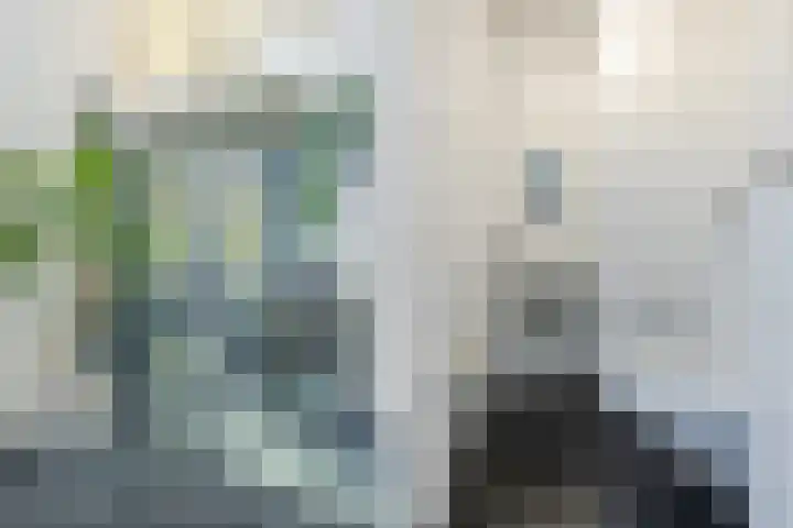 Olmenstraat 2 Halsteren thumbnail 22