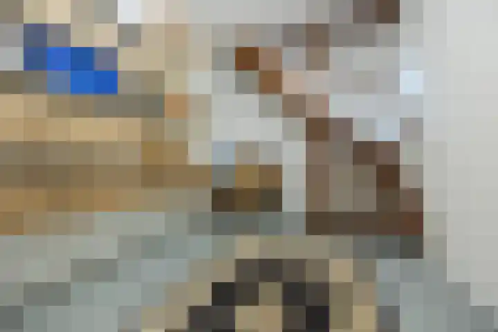 Olmenstraat 2 Halsteren thumbnail 24