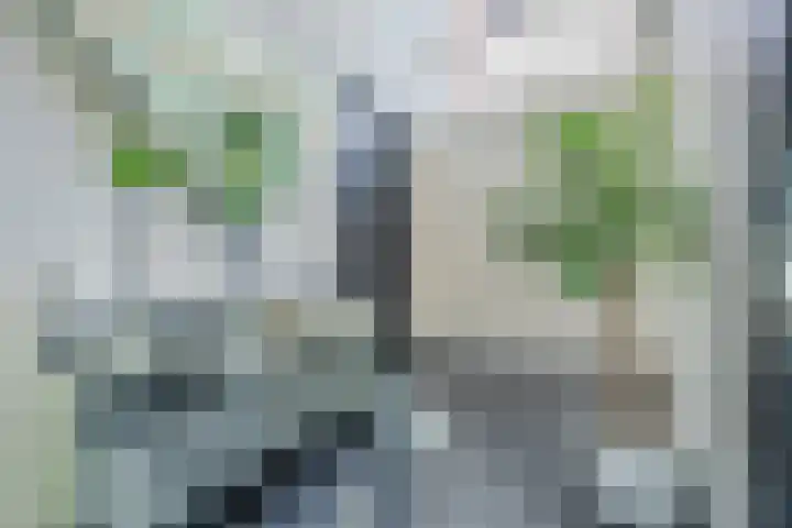 Olmenstraat 2 Halsteren thumbnail 25